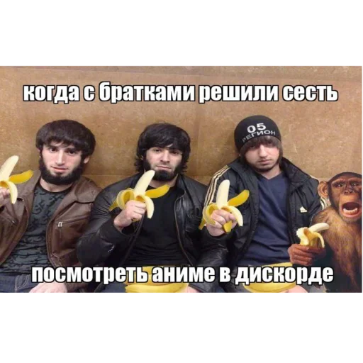 💩 Стикер «аргументы, что анимешники жрут члены» для Telegram