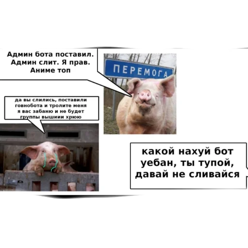 💩 Стикер «аргументы, что анимешники жрут члены» для Telegram