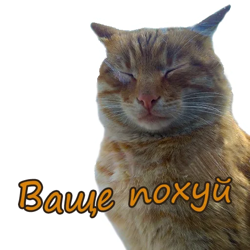 😤 Стикер «Anime pack v1» для Telegram