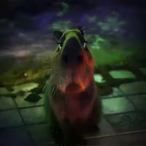 😐 Стикер «Animated Kapibara» для Telegram