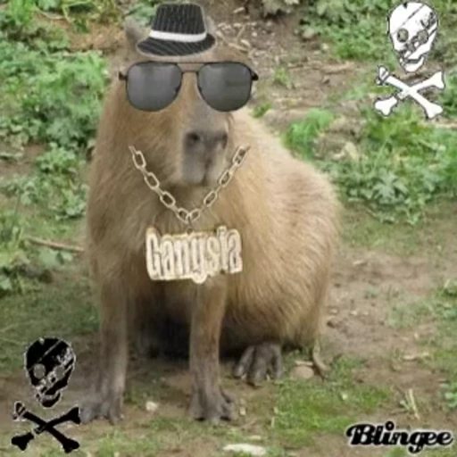 😎 Стикер «Animated Kapibara» для Telegram