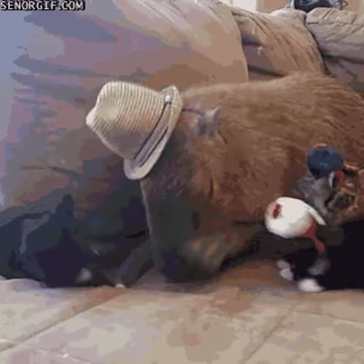 🤠 Стикер «Animated Kapibara» для Telegram