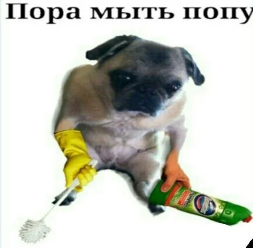 😈 Стикер «animudak» для Telegram