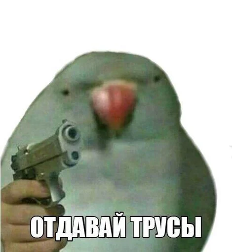 👙 Стикер «animudak» для Telegram