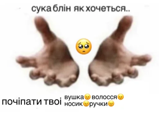 🥺 Стикер «українське лесбійство та мізандрія» для Telegram