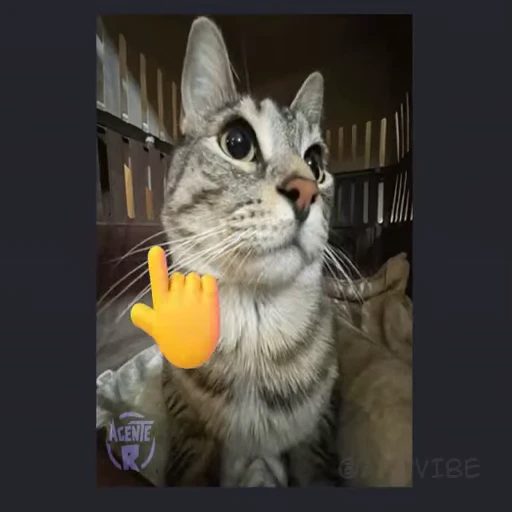 👆 Стикер «Приколы» для Telegram