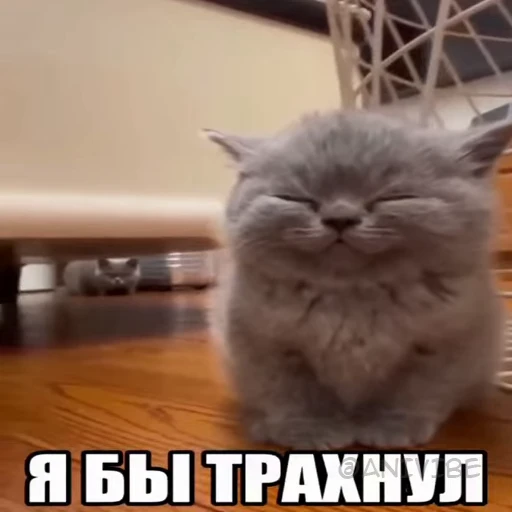 🍓 Стикер «Приколы» для Telegram