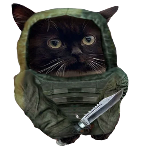 😾 Стикер «Anomaly» для Telegram