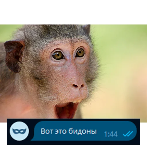 😍 Стикер «Приколы для анон чата» для Telegram