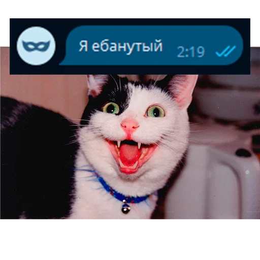 😜 Стикер «Приколы для анон чата» для Telegram