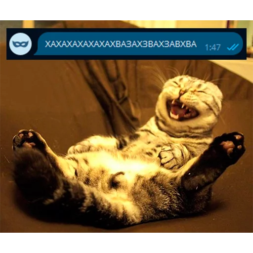 😂 Стикер «Приколы для анон чата» для Telegram