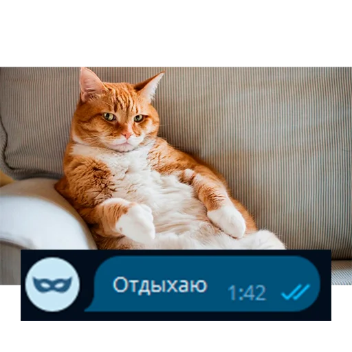 💤 Стикер «Приколы для анон чата» для Telegram