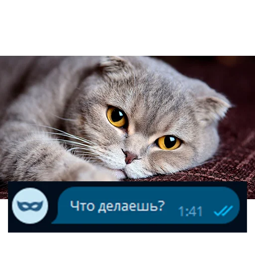 ❓ Стикер «Приколы для анон чата» для Telegram