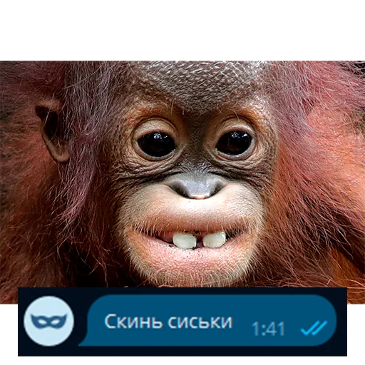 😍 Стикер «Приколы для анон чата» для Telegram