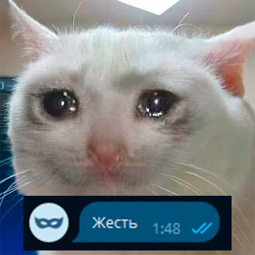 😭 Стикер «Приколы для анон чата» для Telegram