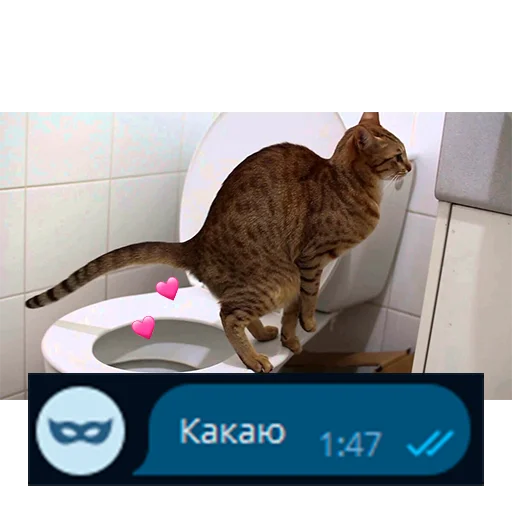 💩 Стикер «Приколы для анон чата» для Telegram
