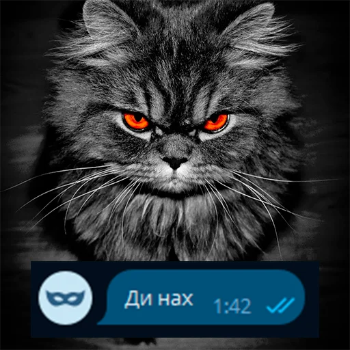 😡 Стикер «Приколы для анон чата» для Telegram