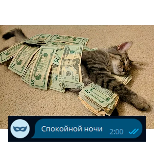 💤 Стикер «Приколы для анон чата» для Telegram
