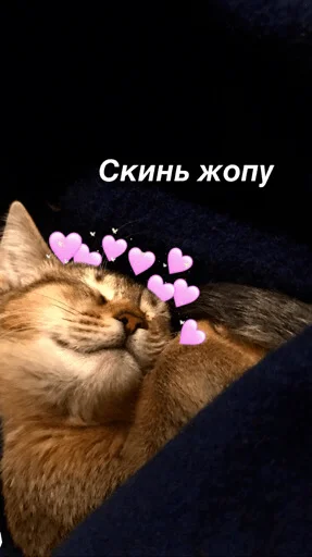 🍑 Стикер «Anonimka» для Telegram