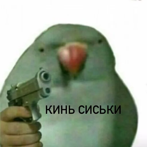 🥺 Стикер «Anonimka» для Telegram