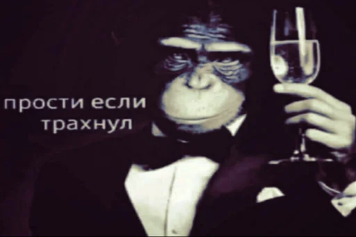 🤫 Стикер «ананимусы» для Telegram