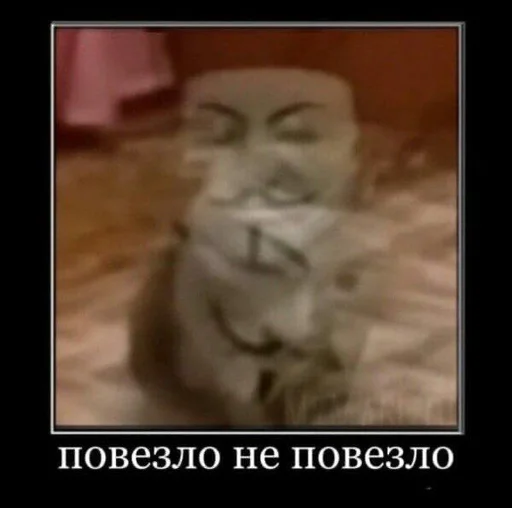 😷 Стикер «ананимусы» для Telegram