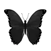 Стикер 20 Blvck