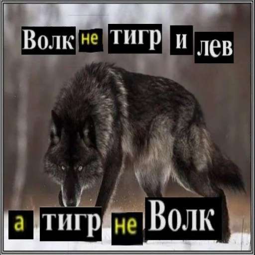 🐯 Стикер «Антицирк» для Telegram