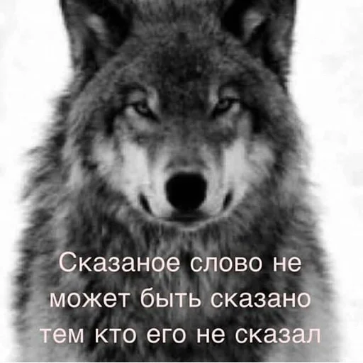 🙃 Стикер «Антицирк» для Telegram