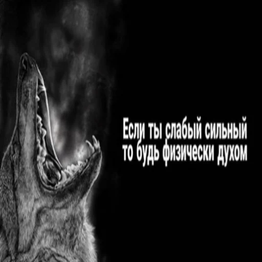 💪 Стикер «Антицирк» для Telegram