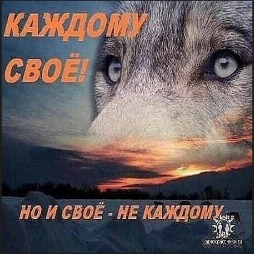 🧐 Стикер «Антицирк» для Telegram