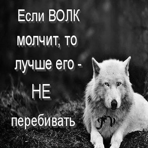 🤫 Стикер «Антицирк» для Telegram