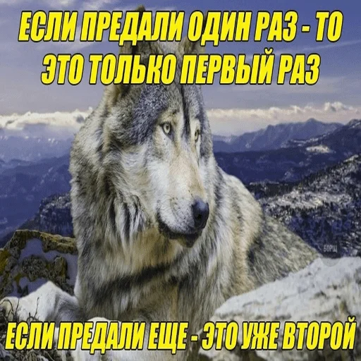 😢 Стикер «Антицирк» для Telegram