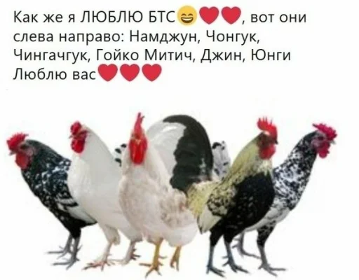 🐓 Стикер «АНТИ БТС» для Telegram