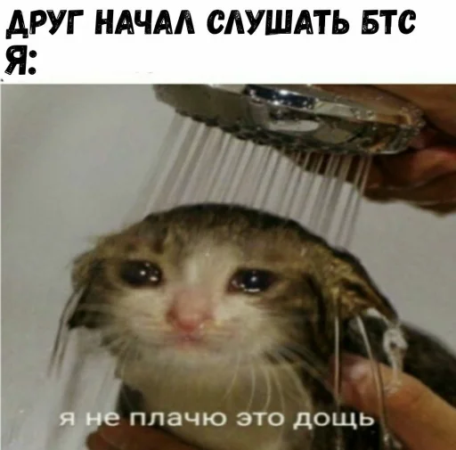 😭 Стикер «АНТИ БТС» для Telegram