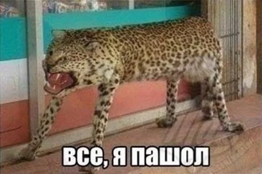 ✋️ Стикер «appropriate reaction» для Telegram