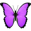 🦋 Эмодзи «Aqua 1» для Telegram