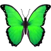 🦋 Эмодзи «Aqua 1» для Telegram