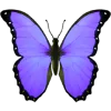 🦋 Эмодзи «Aqua 1» для Telegram