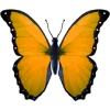 🦋 Эмодзи «Aqua 1» для Telegram