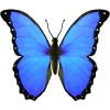 🦋 Эмодзи «Aqua 1» для Telegram