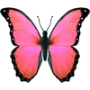🦋 Эмодзи «Aqua 1» для Telegram