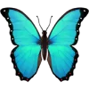 🦋 Эмодзи «Aqua 1» для Telegram