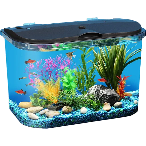🐠 Стикер «Aquariums» для Telegram
