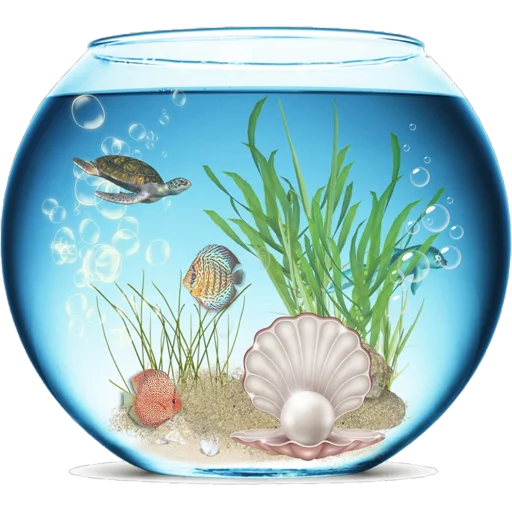 🐠 Стикер «Aquariums» для Telegram