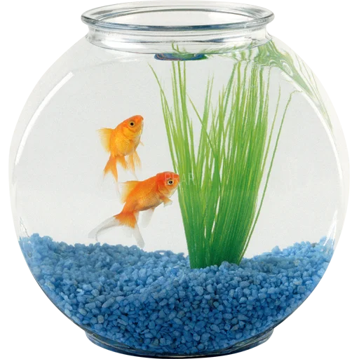 🐠 Стикер «Aquariums» для Telegram