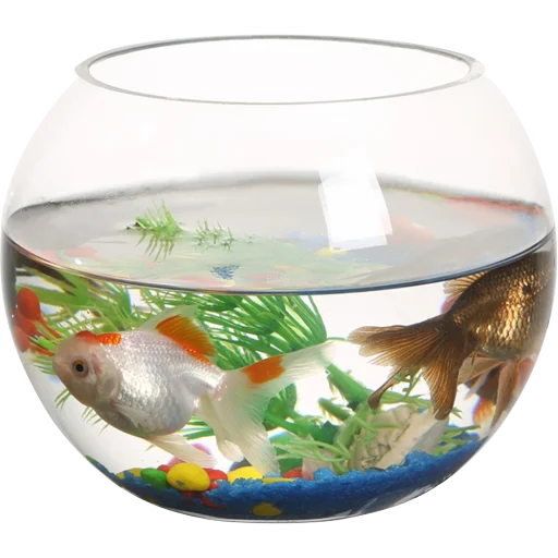 🐠 Стикер «Aquariums» для Telegram