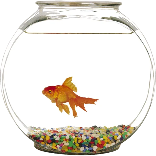 🐠 Стикер «Aquariums» для Telegram
