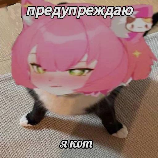🐱 Стикер «Ara Ara» для Telegram
