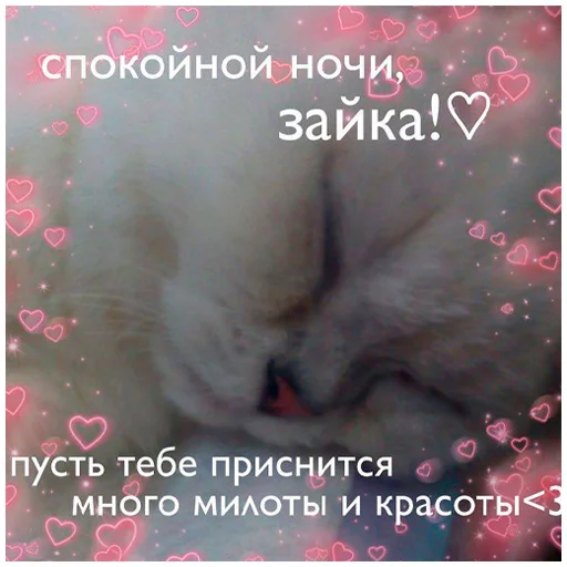 🥝 Стикер «arbuzzer 09 11» для Telegram